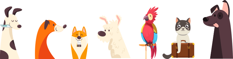 destination banner
